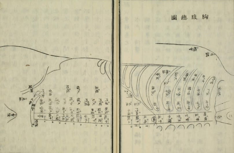 hikei4