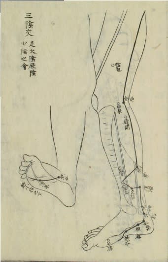 jin1