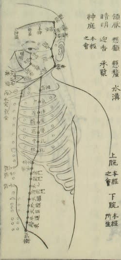 ikei1